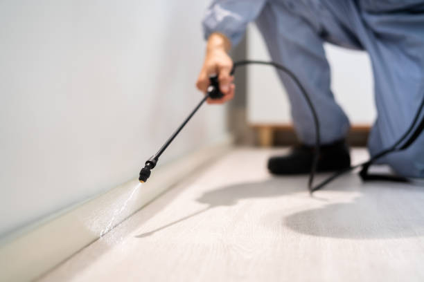 Licensed Pest Control service in Braham, MN - Show Me Pest Control