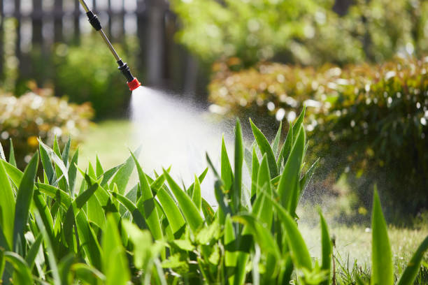 24/7 Emergency Mosquito Control experts in Braham, MN